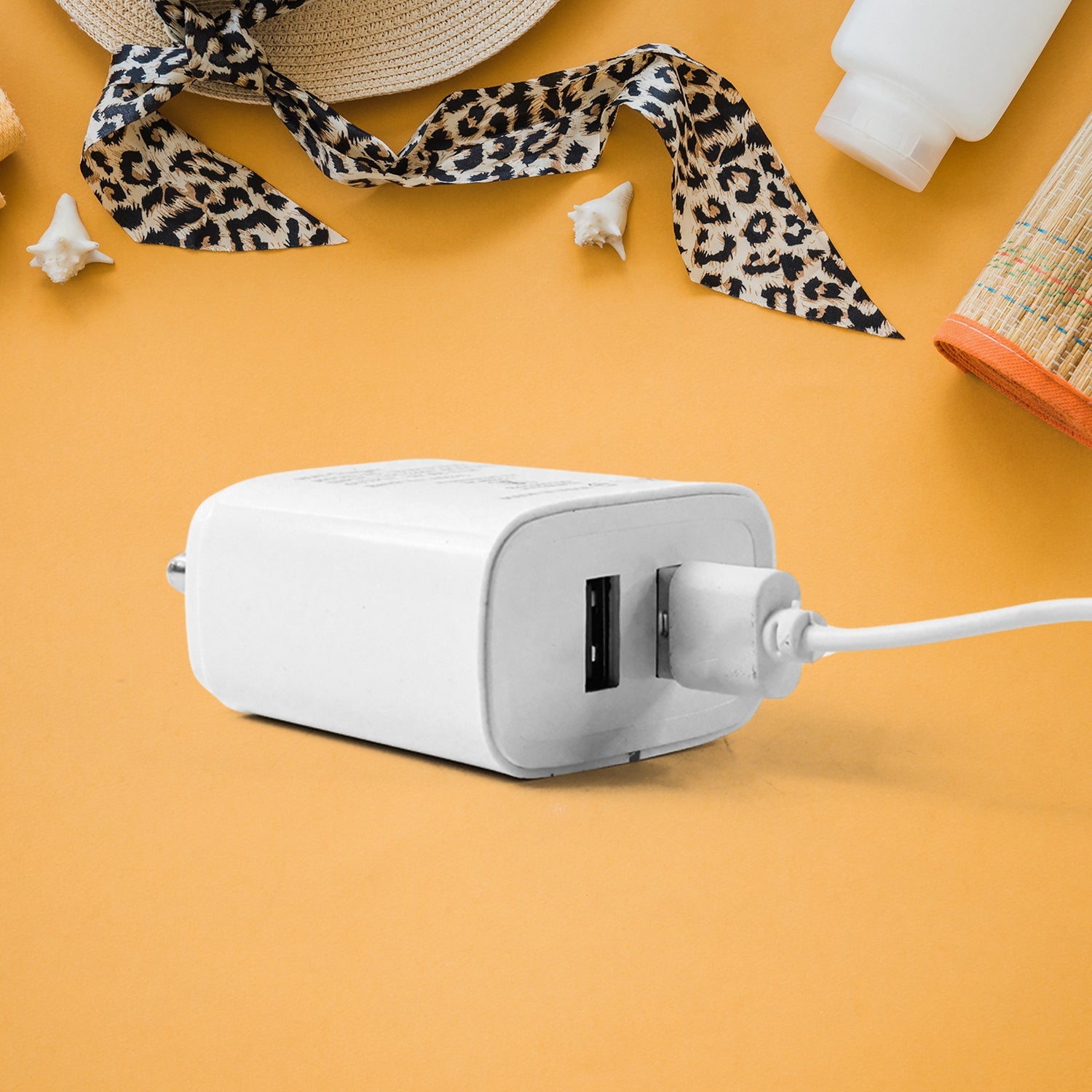 Compact iBall USB wall charger adapter with dual USB ports