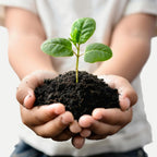 Packaged organic vermicompost, ready to use for enhanced plant nutrition.
