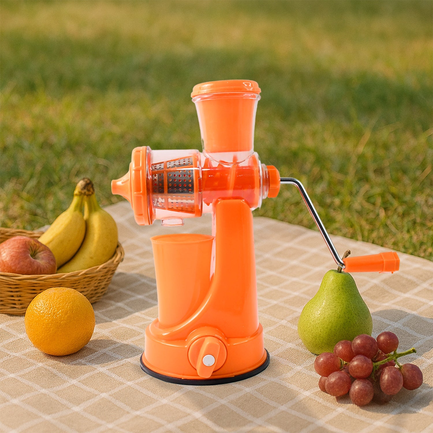 Components of the Manual Fruit Juicer, highlighting pulp and juice separation.