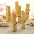 Close-up of durable wooden clothespins with strong steel springs for various tasks.