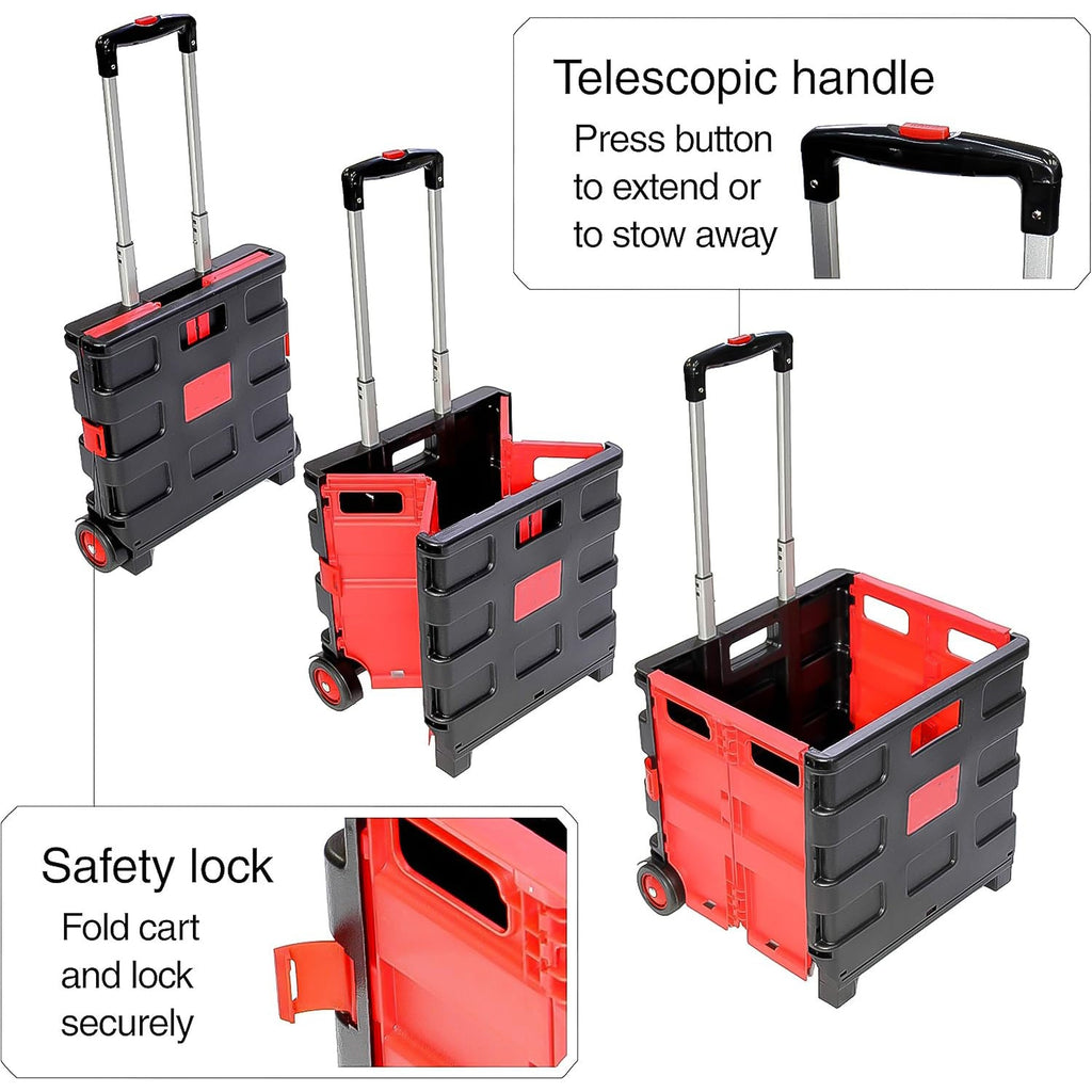 Detailed view of the ClassiCarry portable food basket, highlighting its spacious interior.