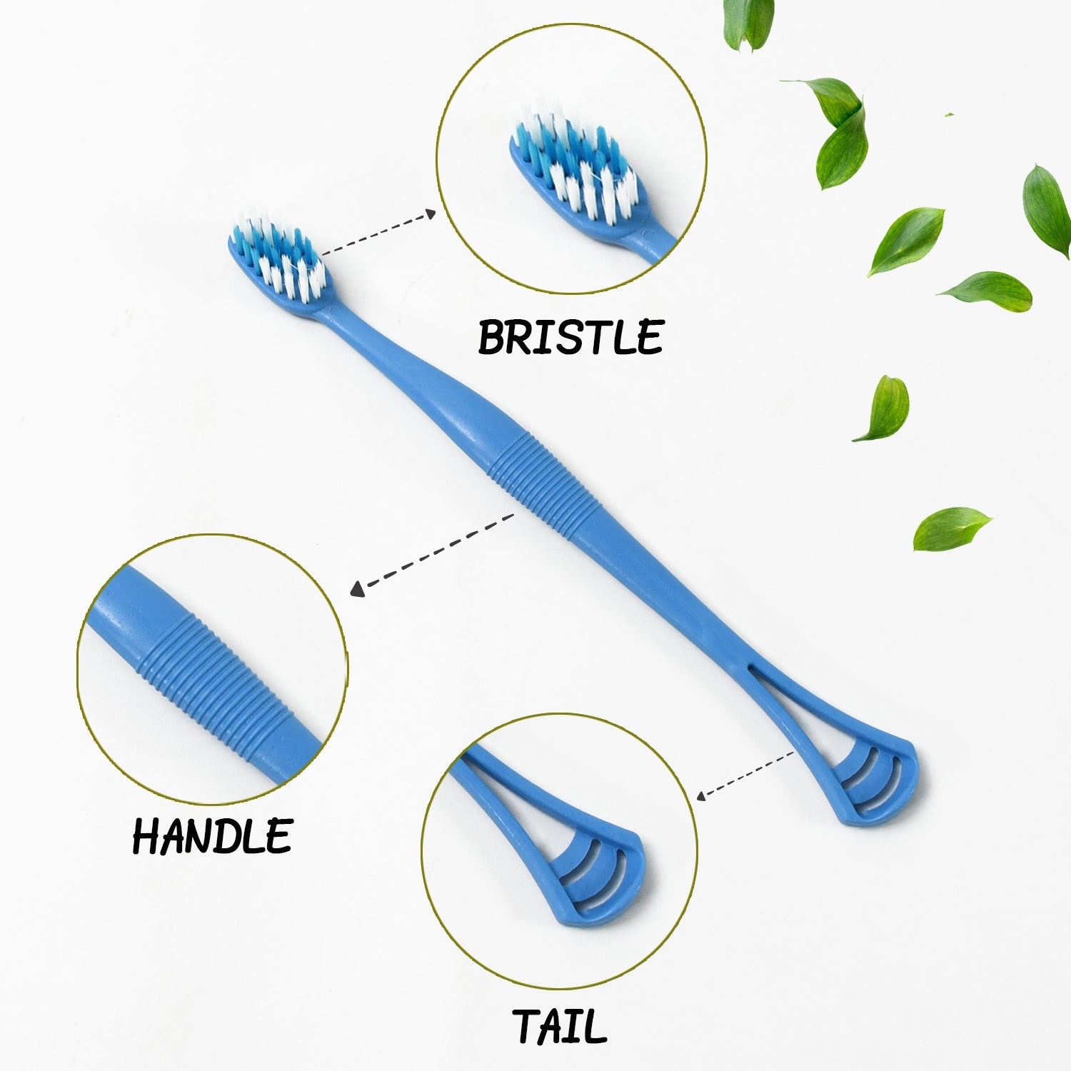 Detail view of the flexible tongue scraper head for effective cleaning.