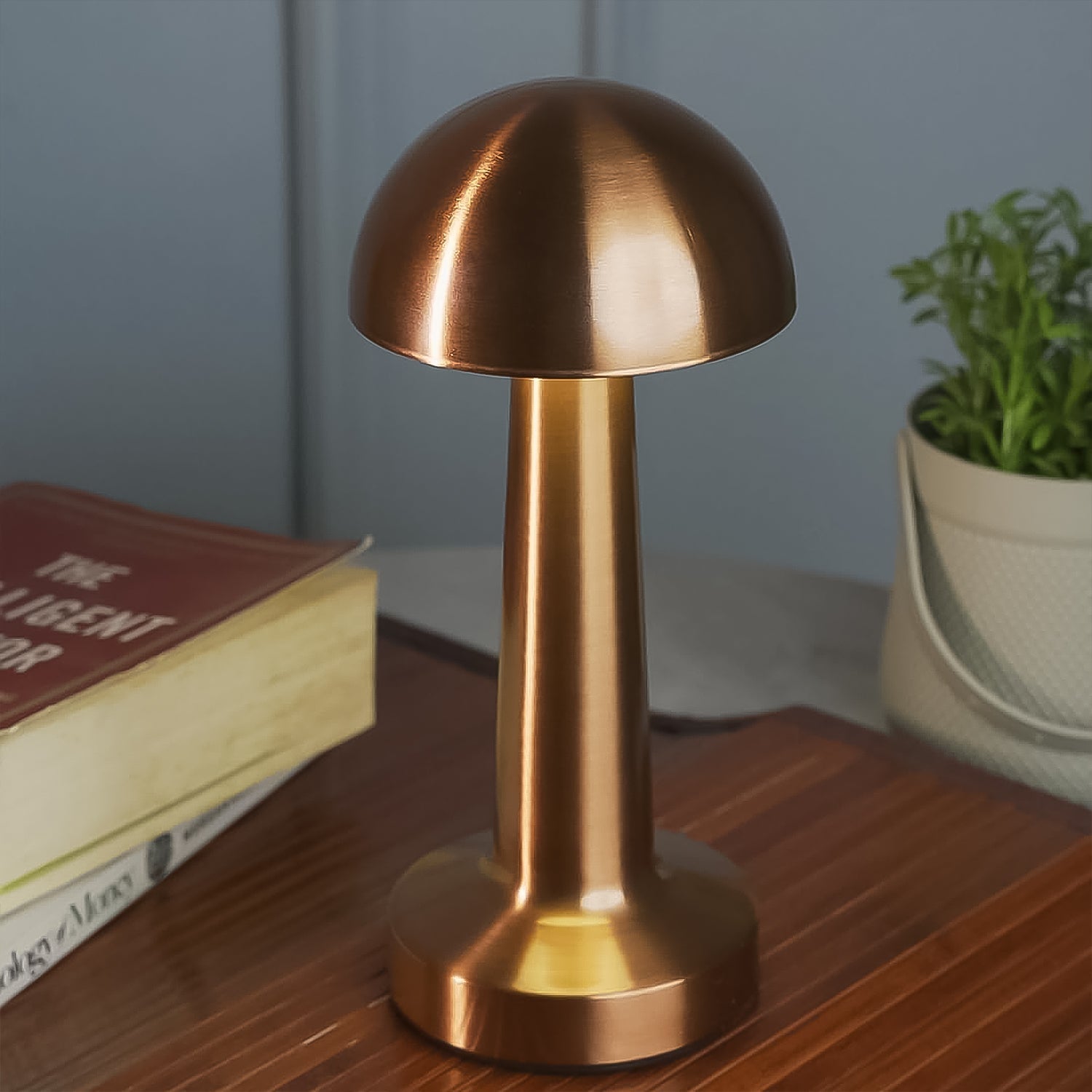 Rechargeable LED desk lamp with sleek aluminium body and non-slip silicone base