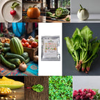 Assorted vegetable seeds for home garden cultivation