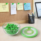 Close-up of steel needle push pins with plastic round heads
