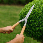 Indo Glow Hedge Shears showcasing the comfortable wooden handle and durable construction.