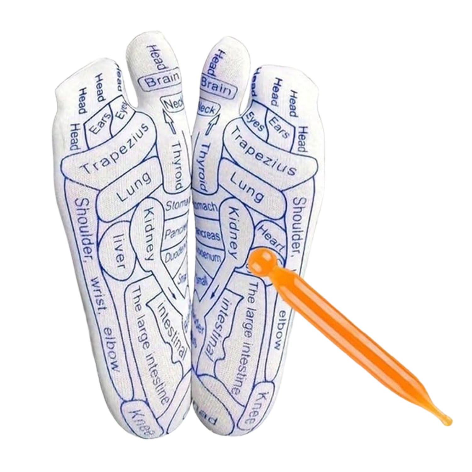 Reflexology foot map printed clearly on therapy socks to aid targeted massage