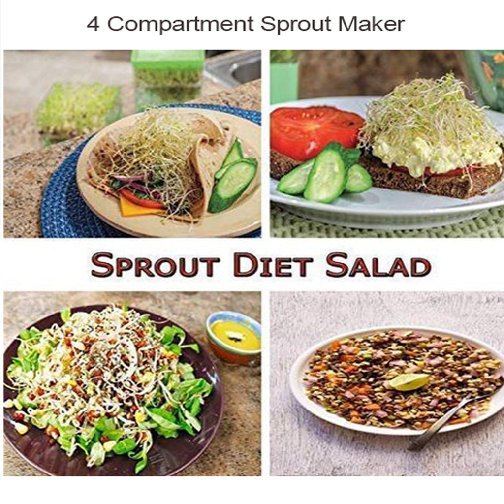 Detailed view of the Tidy Table sprout maker, highlighting its stackable 4-compartment design.