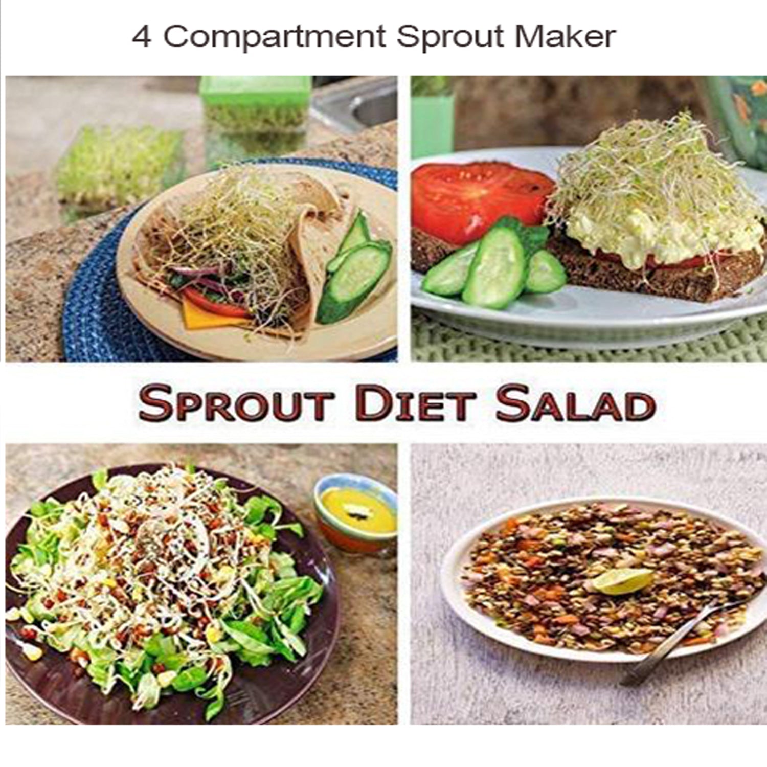 Detailed view of the Tidy Table sprout maker, highlighting its stackable 4-compartment design.