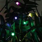 Luxury set of LED fairy lights providing bright, vibrant illumination