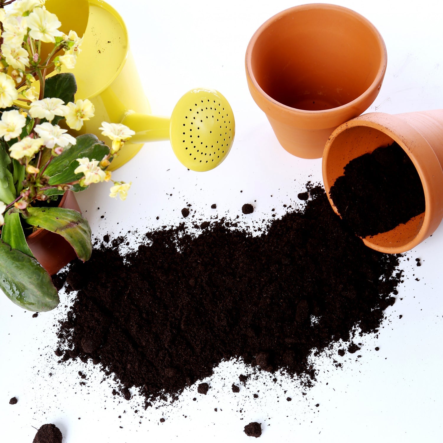 Bag of black soil vermicompost, an effective natural soil fertilizer for gardens.