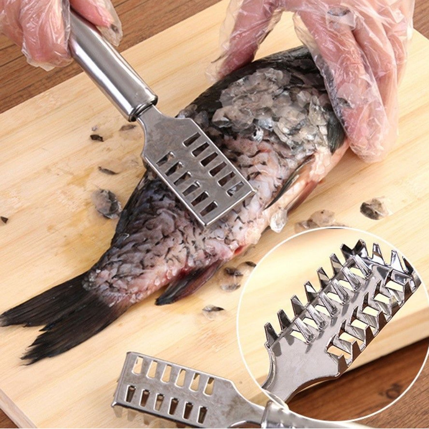 Stainless Steel Fish Scale Remover with sawtooth edge for efficient cleaning.