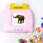 Clear images and words on an educational flash card for kids.