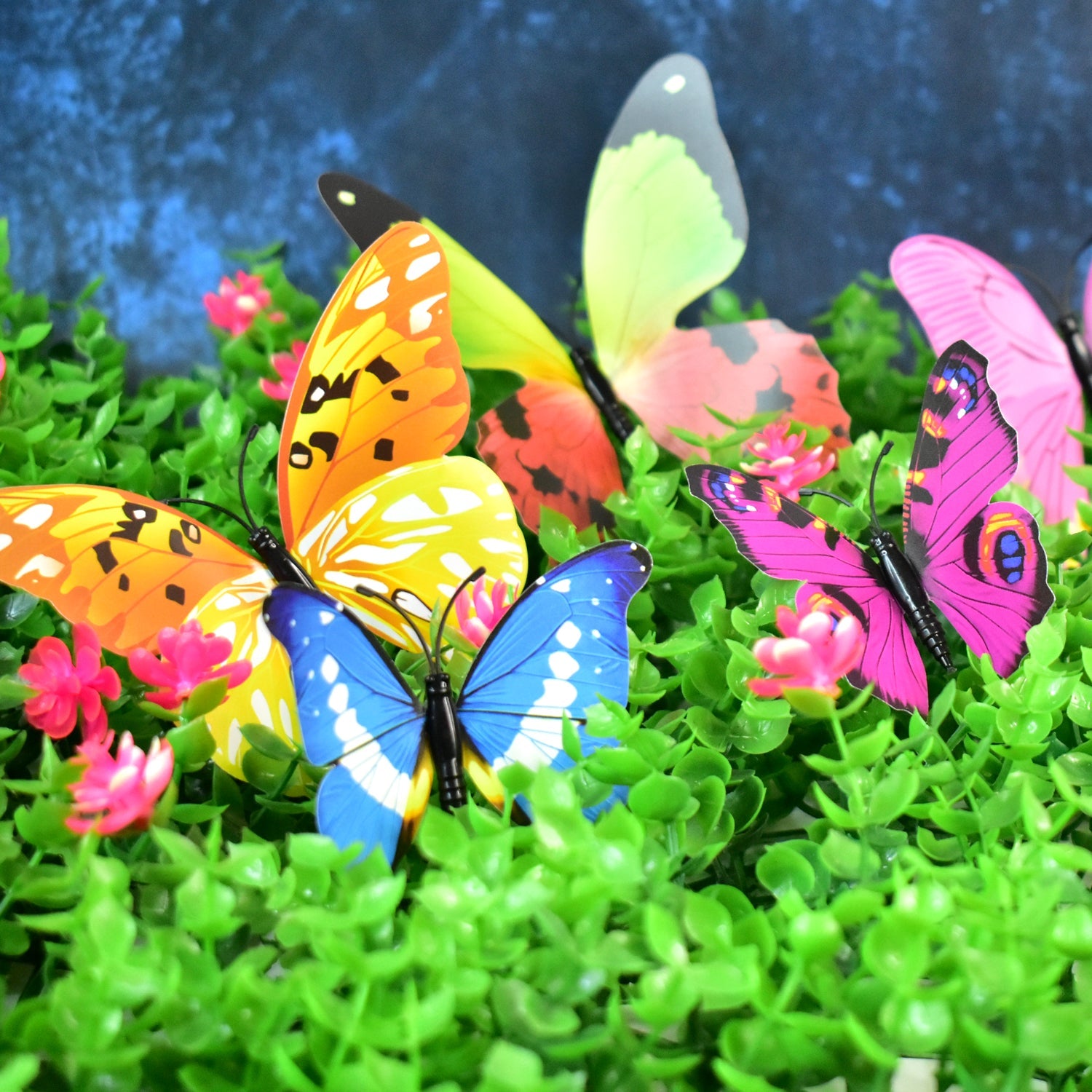 Detail shot of colorful 3D butterfly wall stickers' intricate patterns