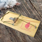 Rustic wooden mouse trap reusable for home and garden use