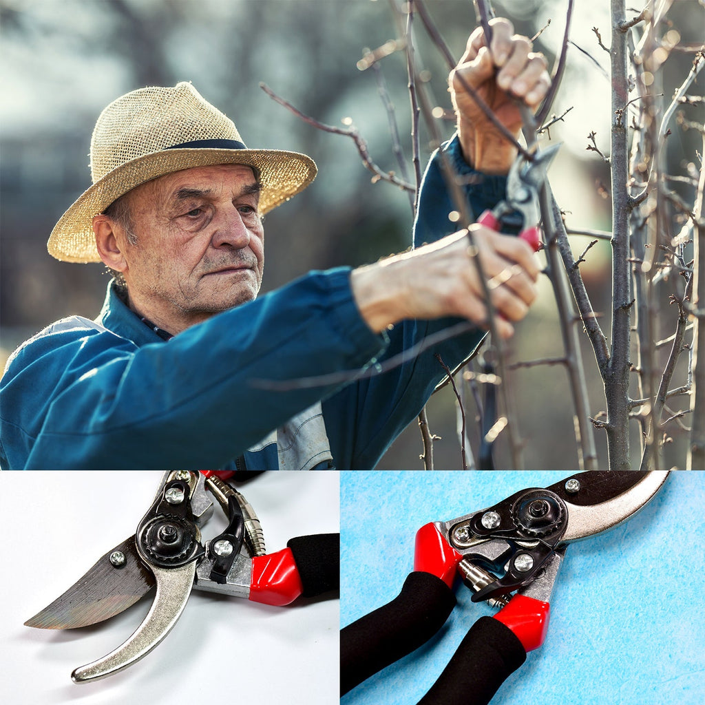 Sharp red garden pruners for trimming plants.