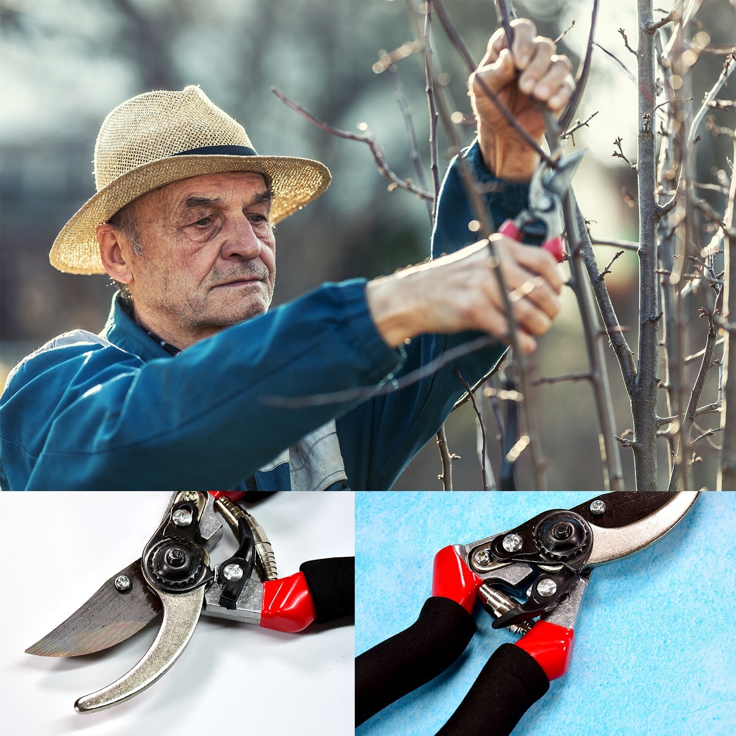 Sharp red garden pruners for trimming plants.