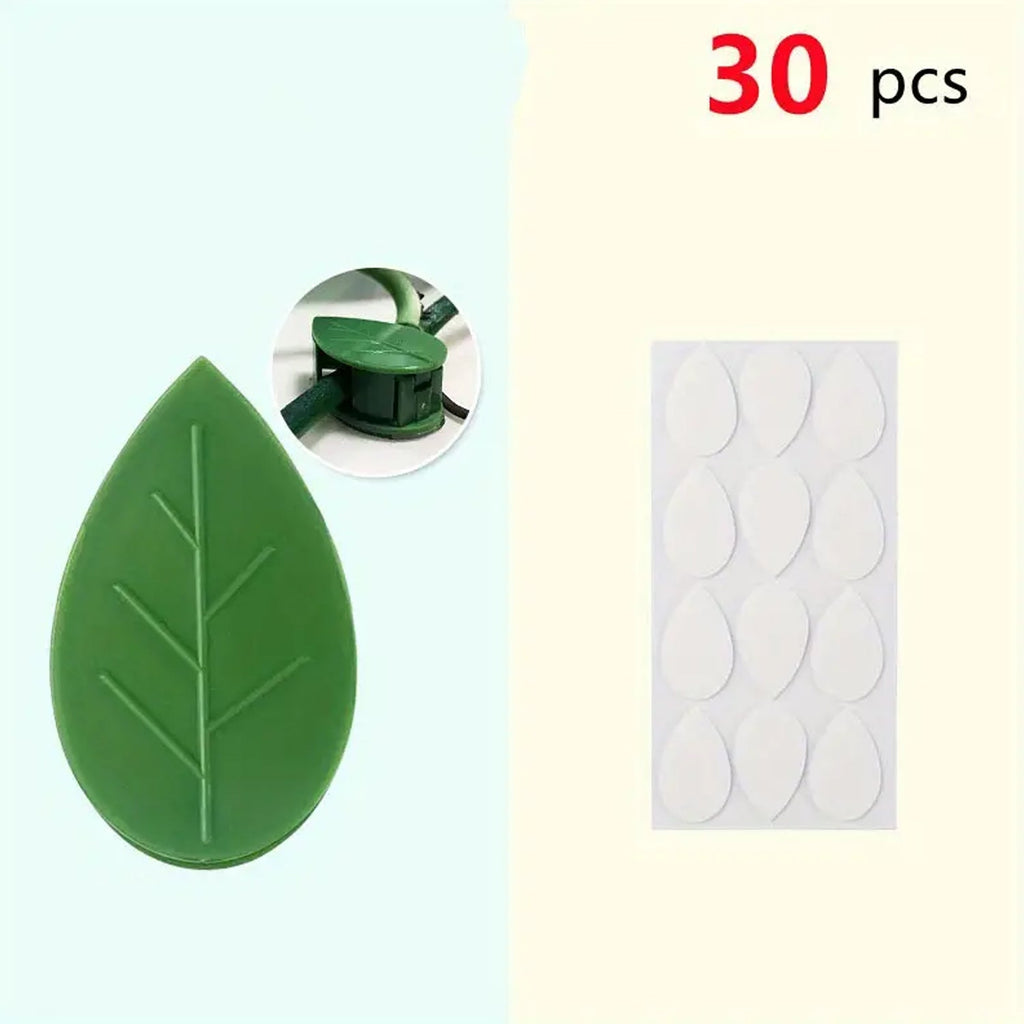 Plant climbing wall fixture clips shown with their strong adhesive tape ready for use.