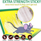 Foldable and reusable cardboard mouse trap with strong adhesive by Indo Glow.