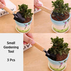 Gardening tool set featuring hand tools and safety gloves