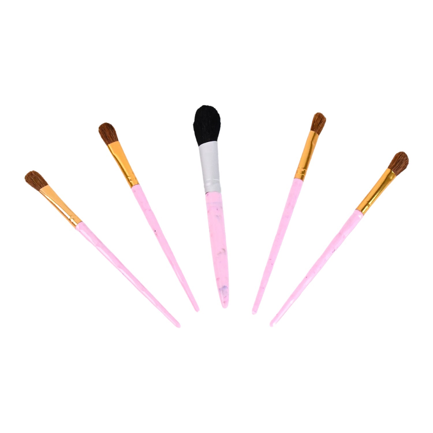 Complete 5pc makeup brush tools set ideal for beginners and professionals