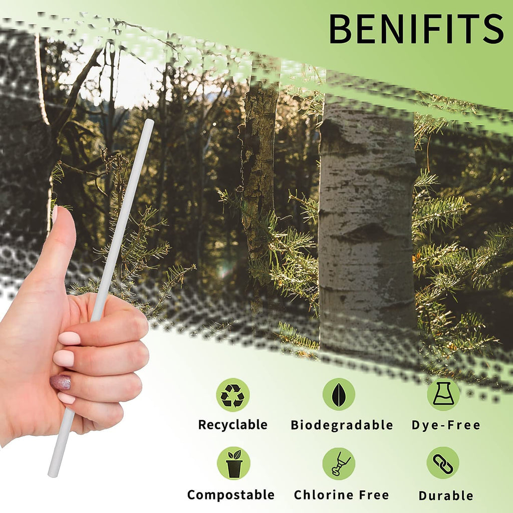 Neatly arranged plain white paper straws showcasing their plastic-free design