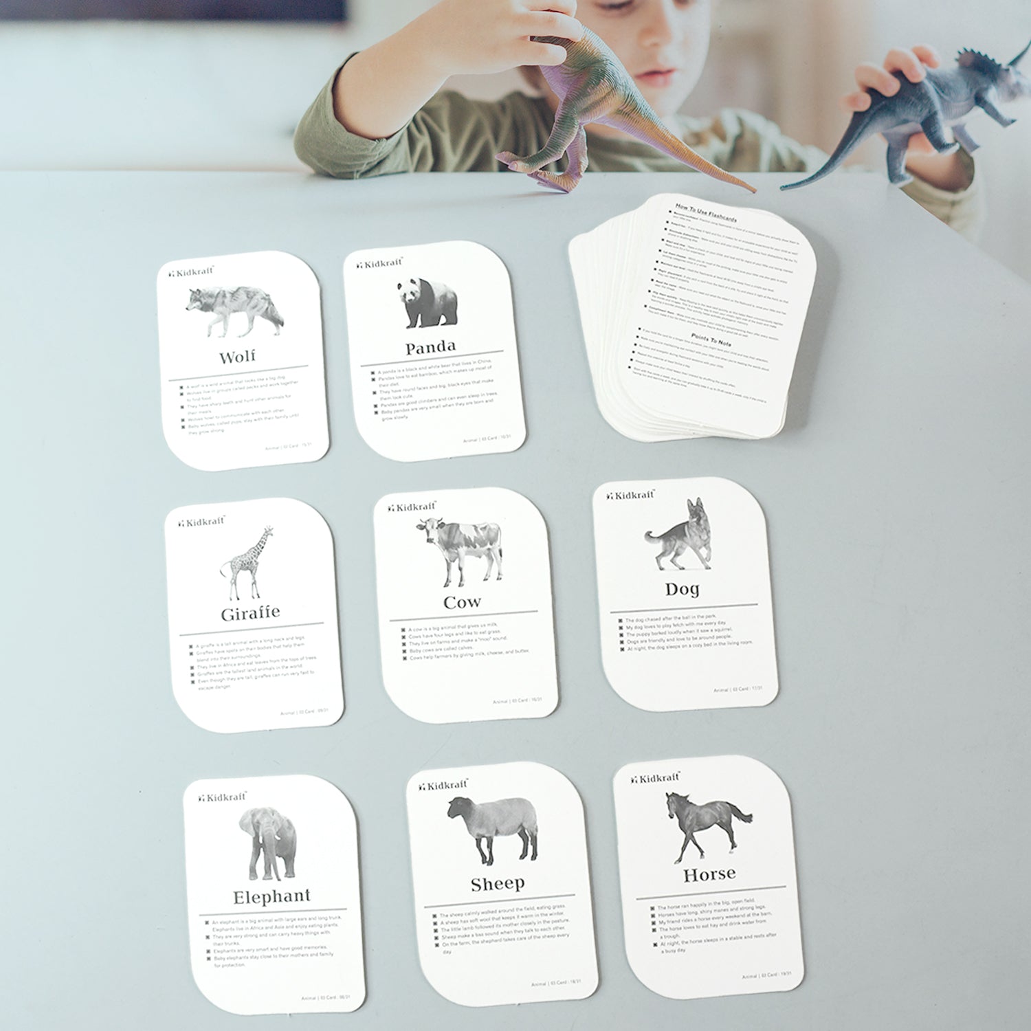 Stacked laminated animal flash cards stored in a sturdy box