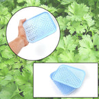 Lightweight Kothmir Basket, perfect for kitchen produce storage.