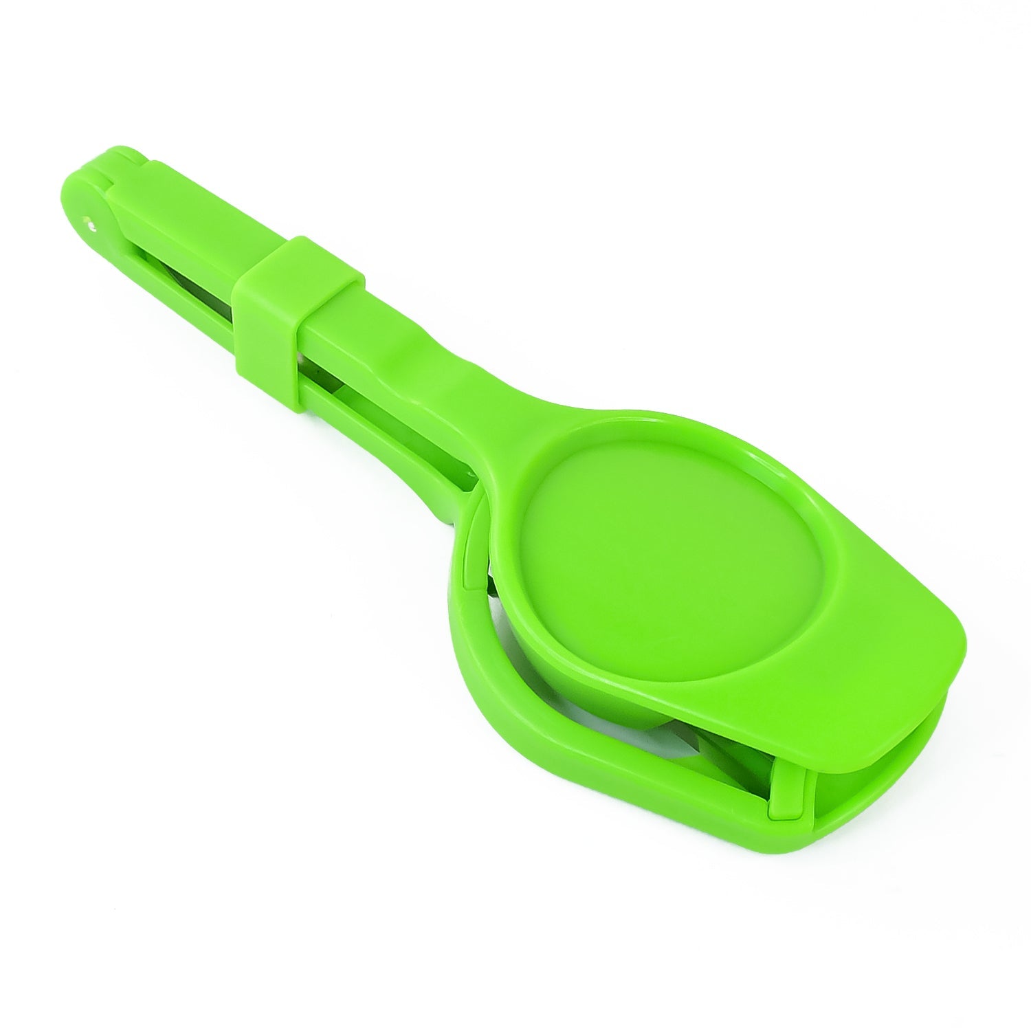 The Multipurpose Slicer showing perfectly even slices of kiwi fruit.