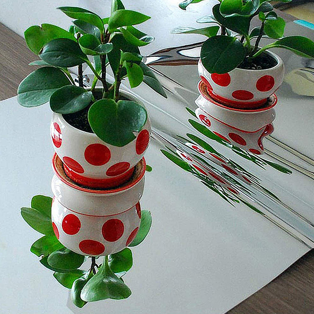 Decorative mirror paper stickers for DIY home wall transformation.