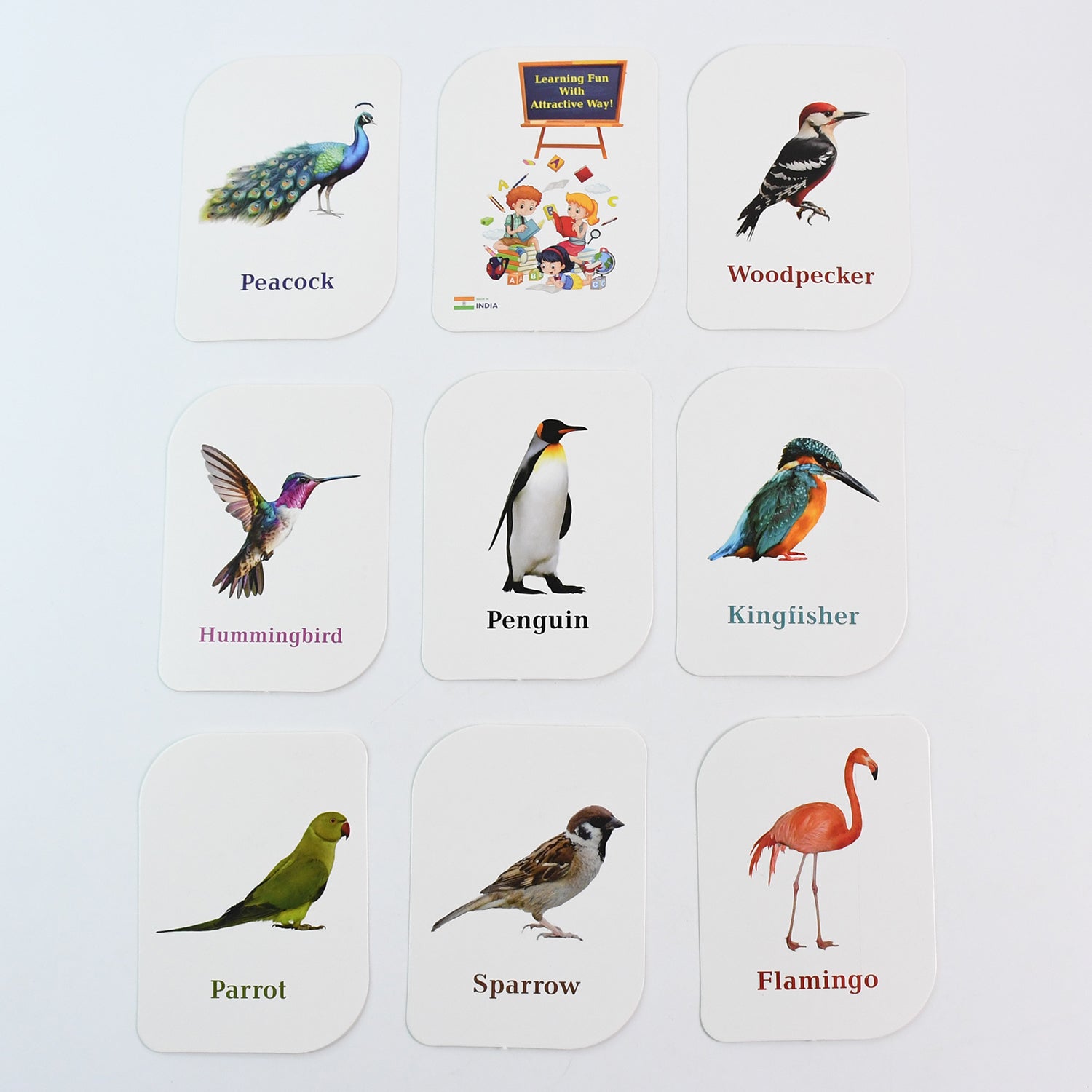 Educational flashcards featuring exotic birds like flamingo with bold text names