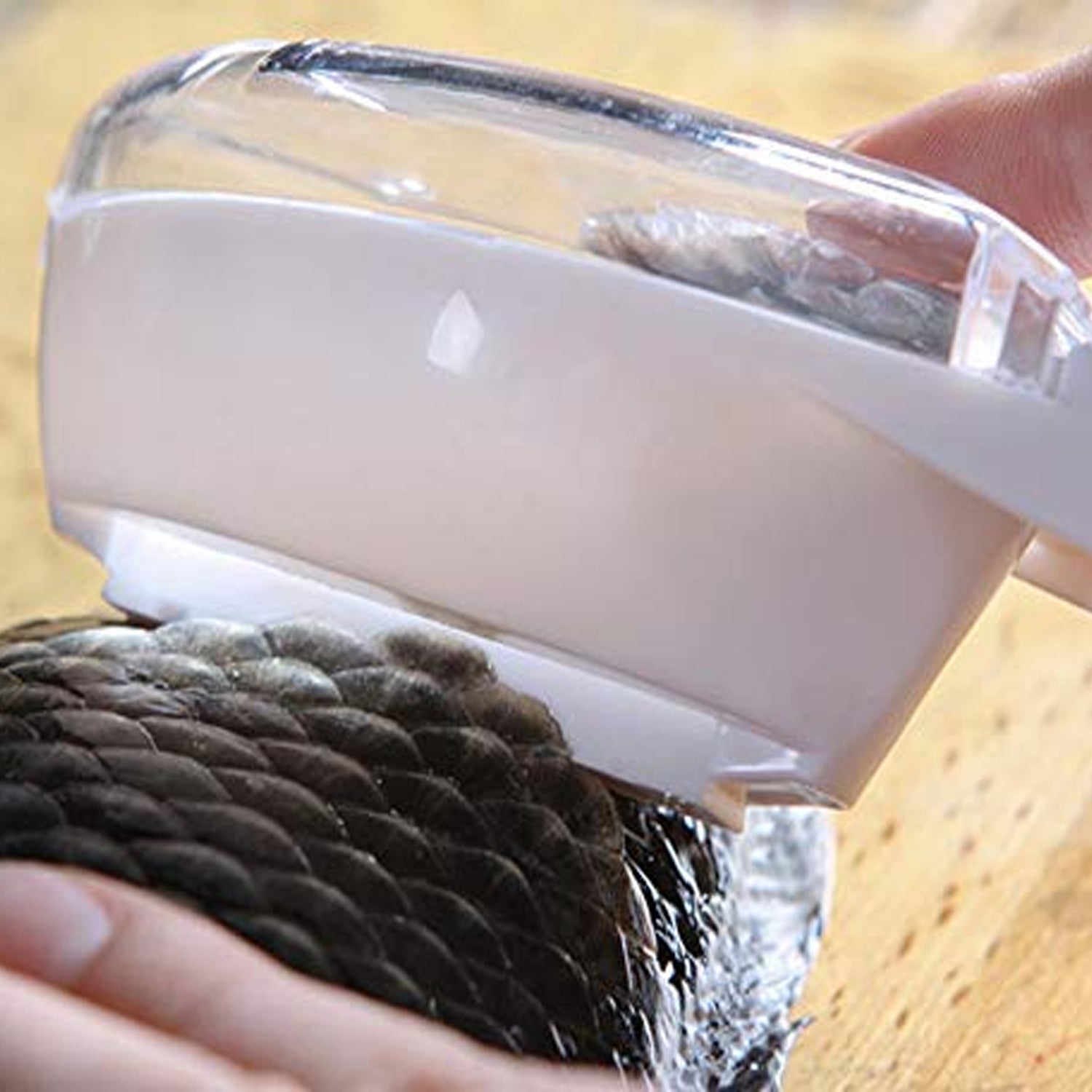 Close-up of the Fish Scale Scraper collecting case preventing mess.