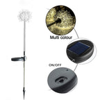 Solar powered garden lights installed along outdoor pathway illuminating walk