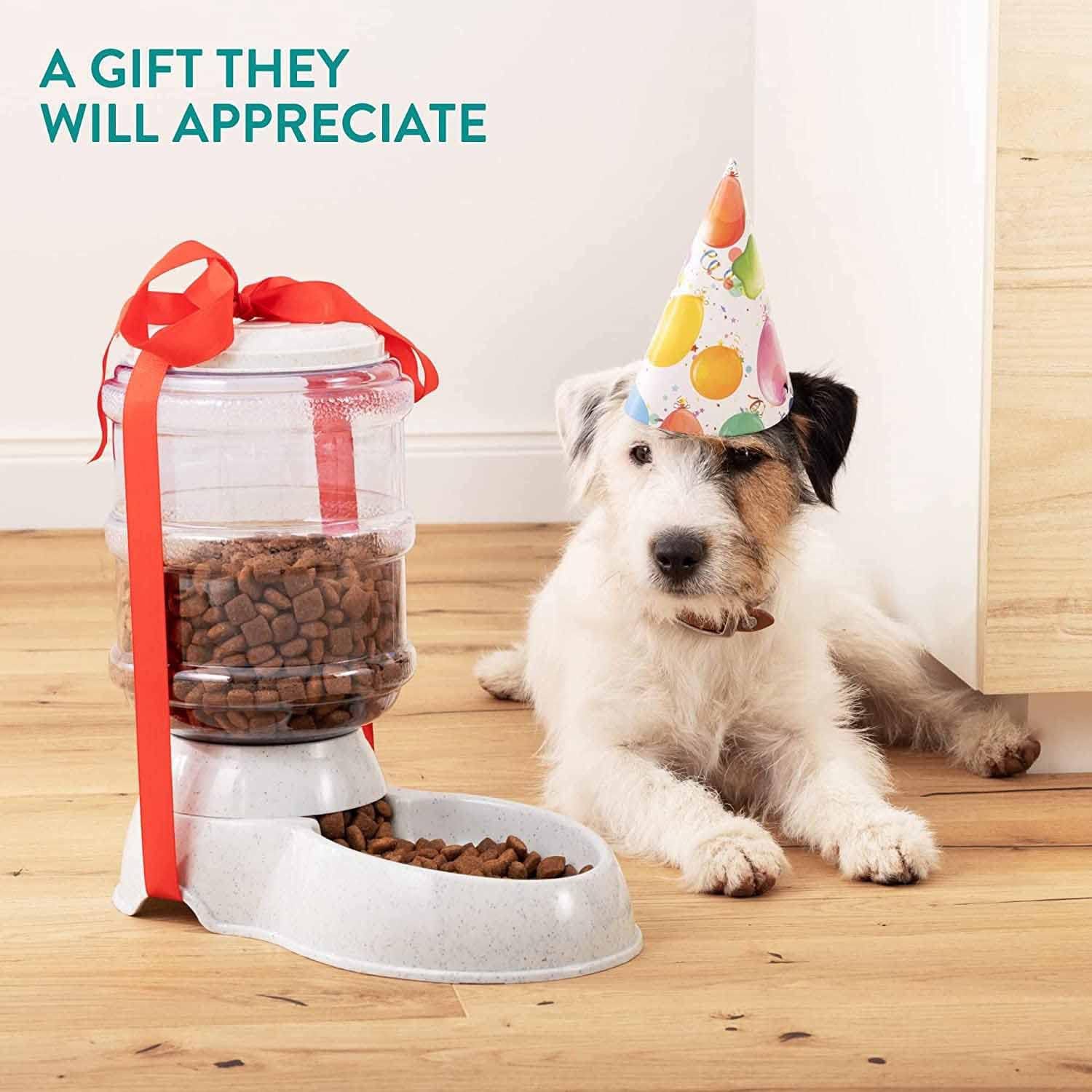 Automatic pet food dispenser showing its large capacity and simple gravity mechanism