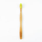 Biodegradable bamboo toothbrush for plastic-free dental hygiene