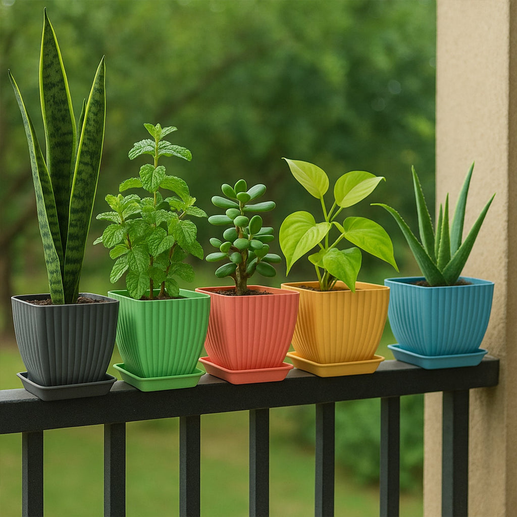 Set of 5 square plastic flower pots with removable trays in assorted colors for indoor gardening