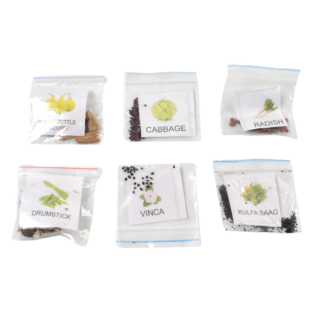 EcoSprout Garden Set featuring 20 types of vegetable and flower seeds for easy home planting.