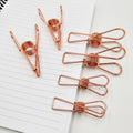 Set of shiny stainless steel clothes clips on a clean surface, emphasizing durability.
