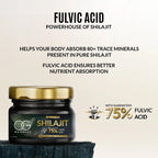OG Wellness Shilajit resin supporting immunity and mental clarity