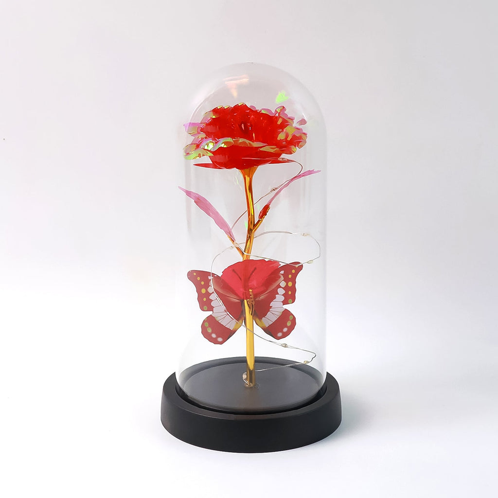 Dome featuring luxe eternal rose illuminated by warm LED fairy lights