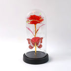 Dome featuring luxe eternal rose illuminated by warm LED fairy lights