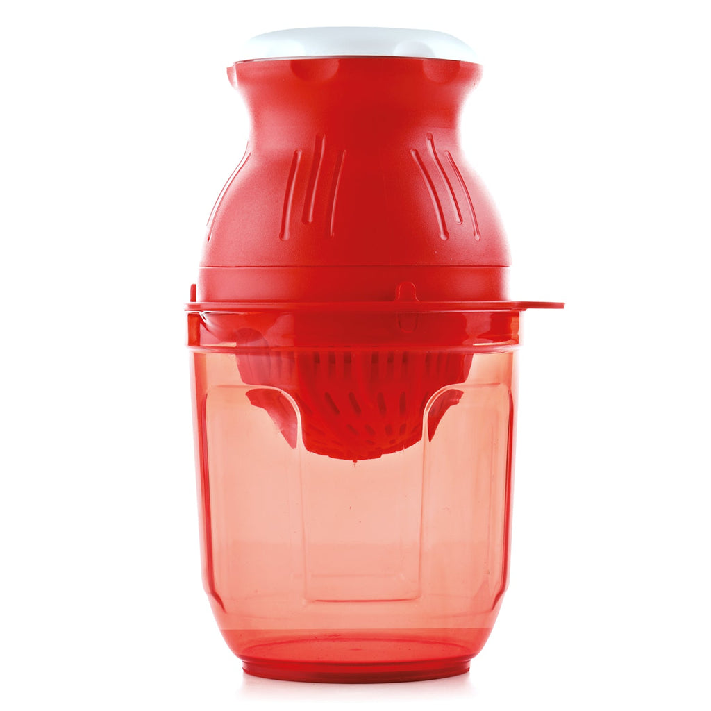 Juicer for fruits and vegetables with clear container
