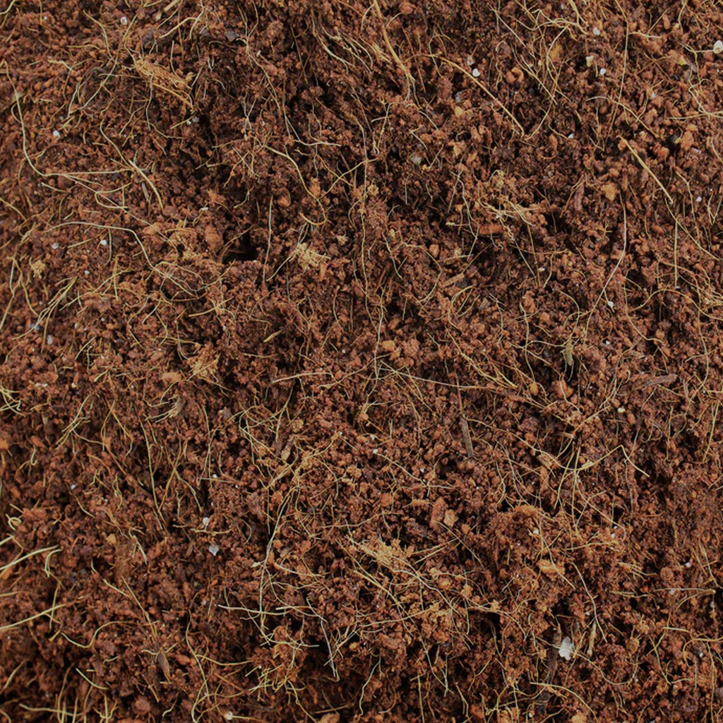 Close-up of Styleva's Organic Cocopeat Block, showing its natural fibers.