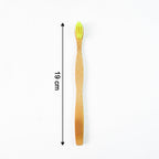 Closeup of natural bamboo toothbrush handle with antimicrobial properties