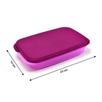 Vibrant blue lunch box, a stylish and practical choice for daily use.