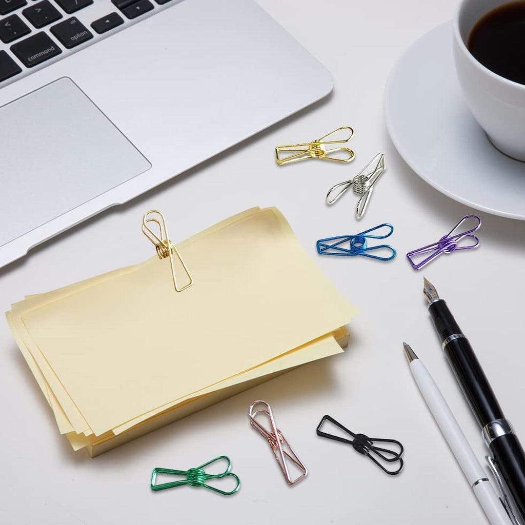 A few reliable stainless steel clips holding different items, illustrating their versatility.