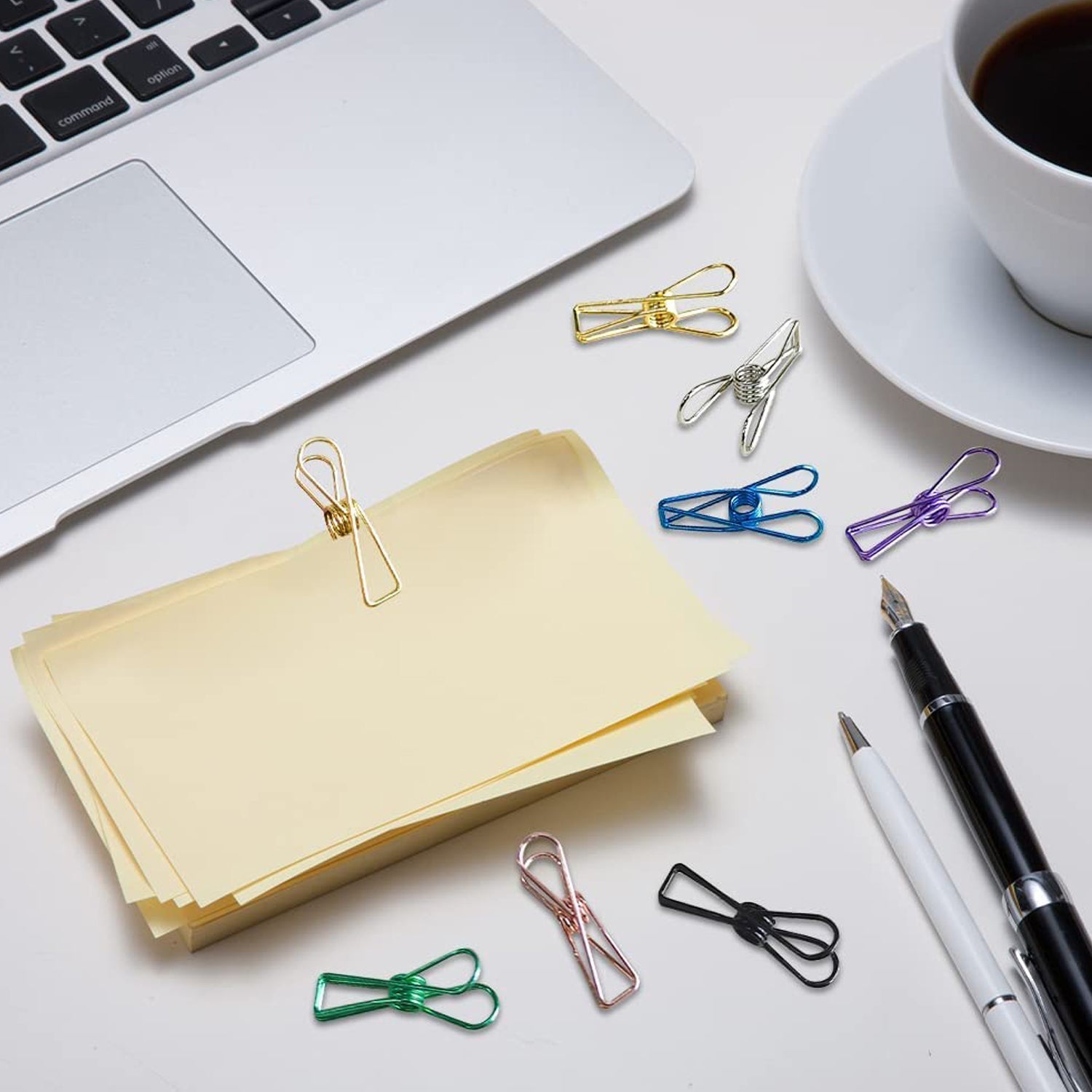 A few reliable stainless steel clips holding different items, illustrating their versatility.