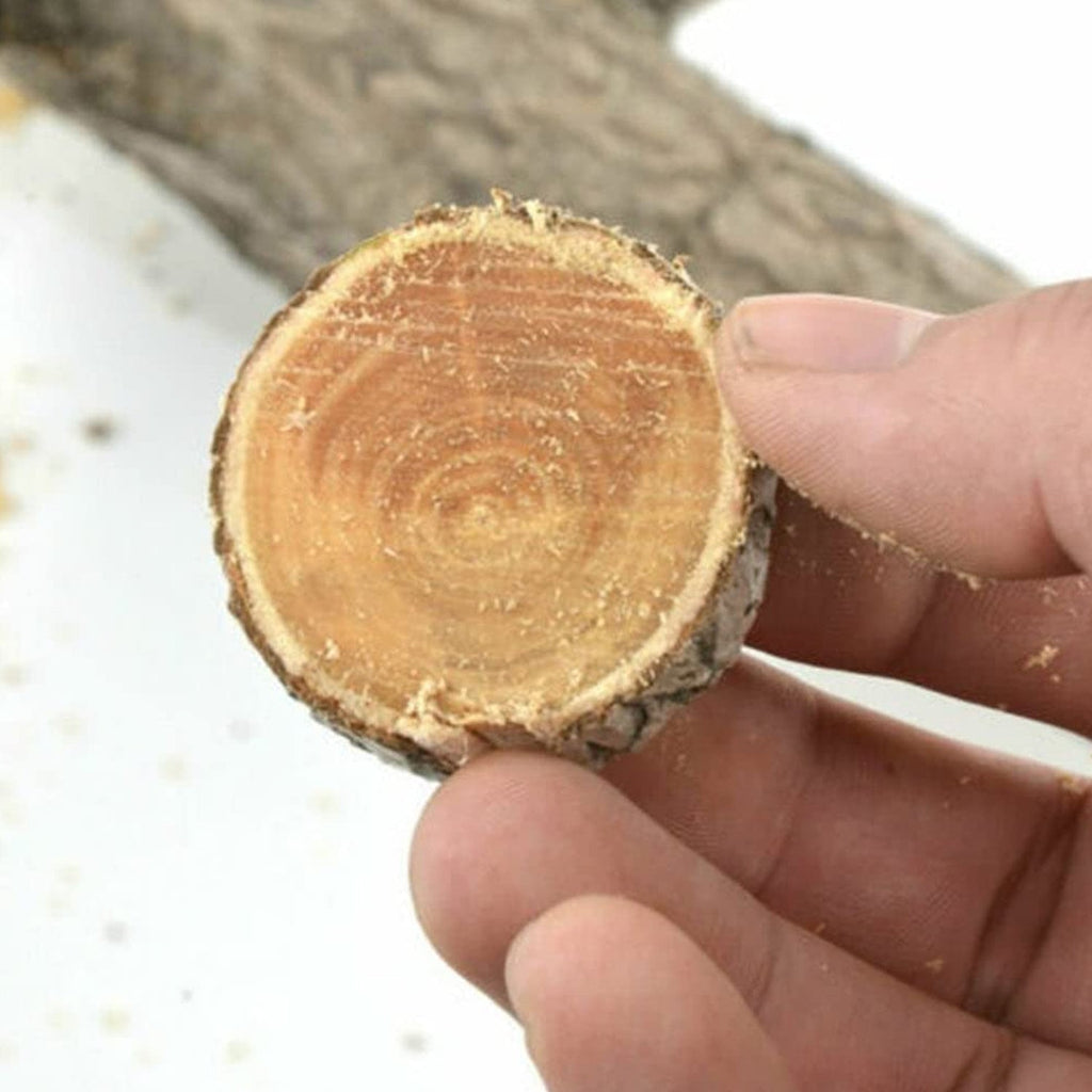 Detailed view of the sharp blade and durable handle of the hand saw.