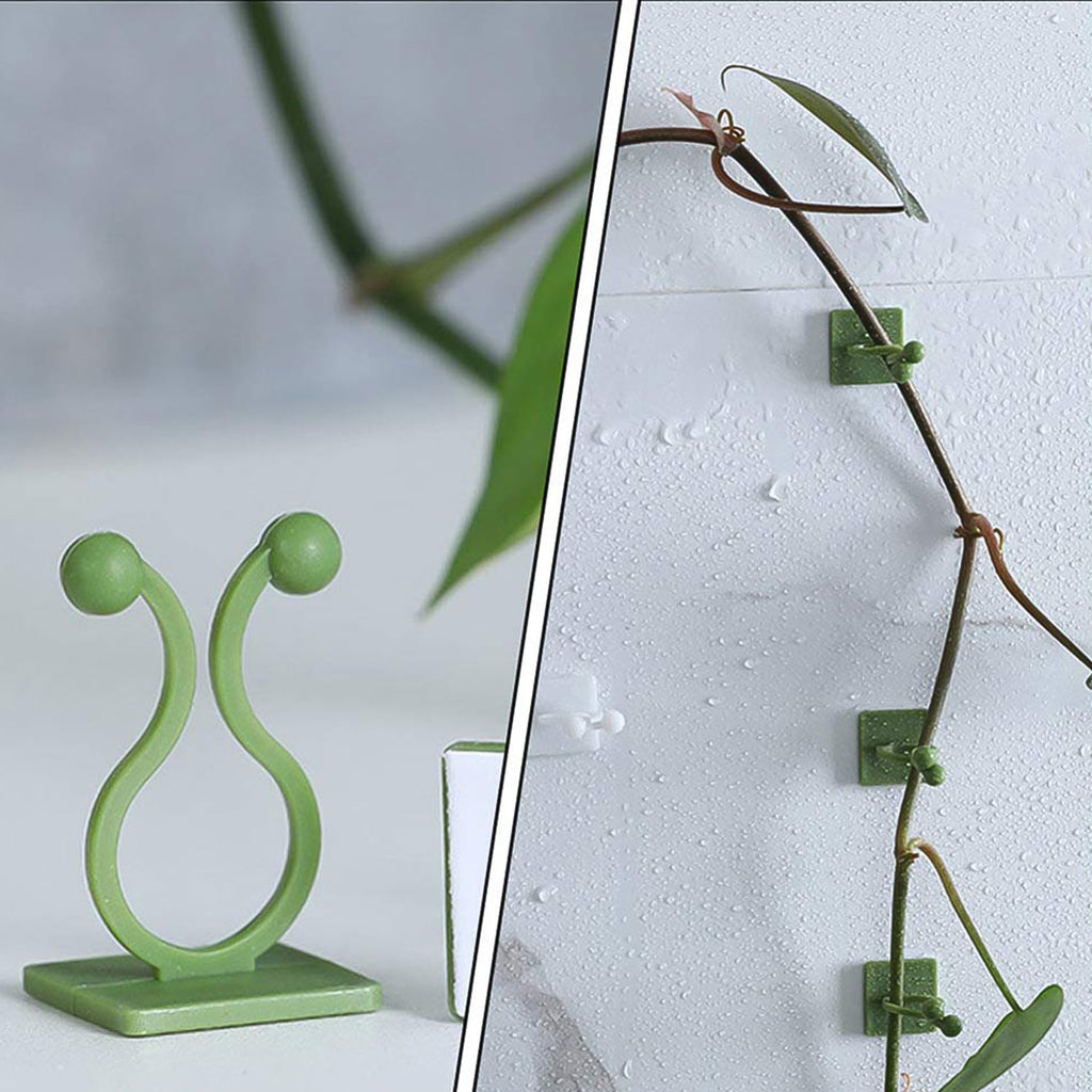 Self-adhesive plant climbing clips blending seamlessly with green foliage on a wall.