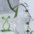 Self-adhesive plant climbing clips blending seamlessly with green foliage on a wall.